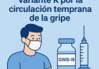 Europa insta a los españoles a vacunarse “sin demora” ante la circulación temprana de la variante K de la gripe