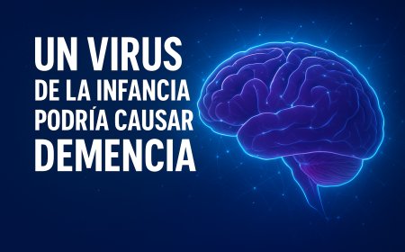 Un virus común en la infancia podría estar relacionado con la demencia en la adultez